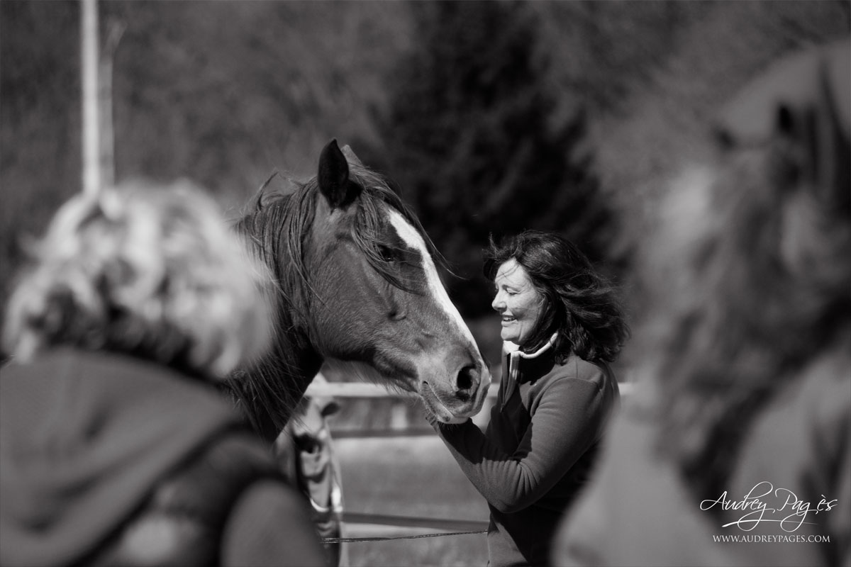 developpement personnel cheval1