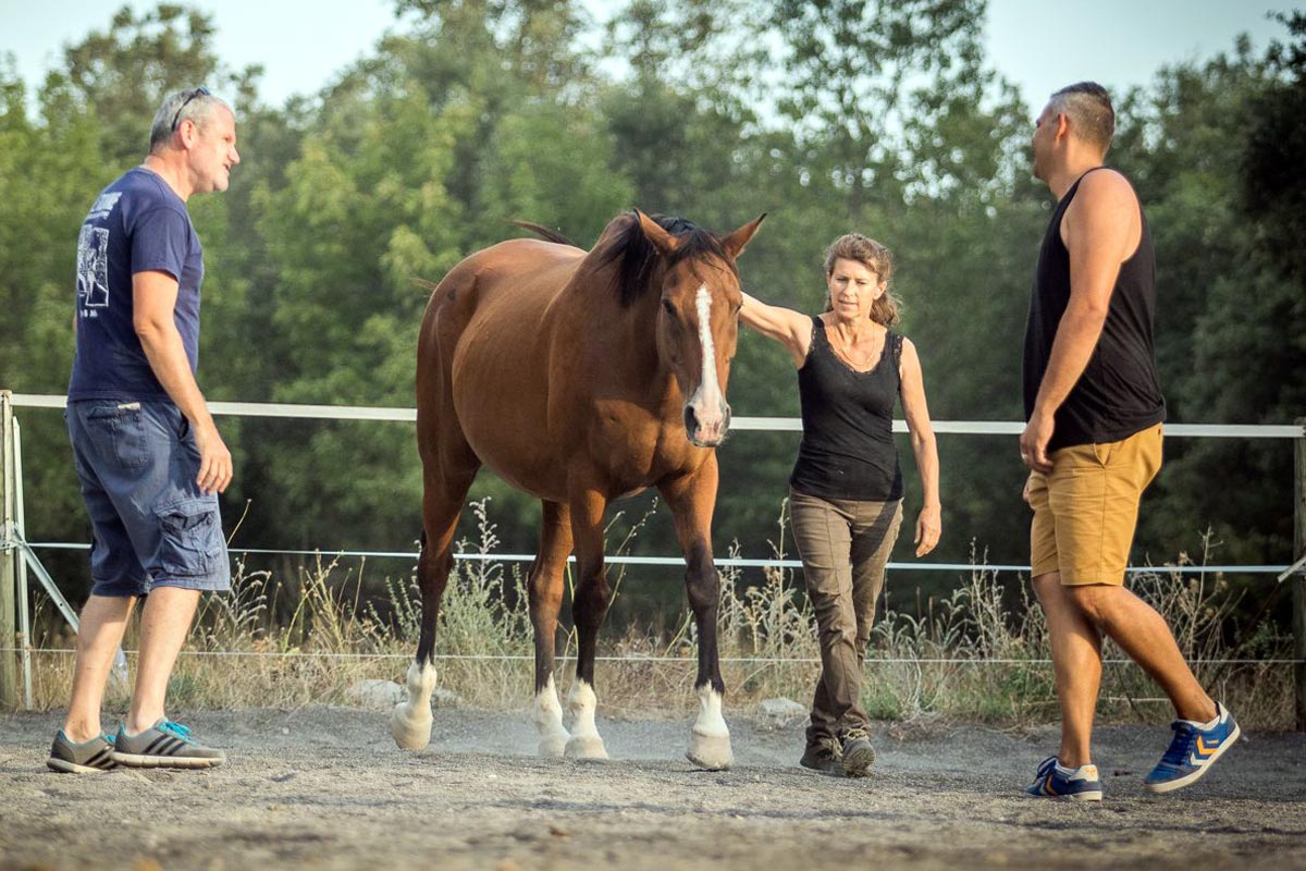 developpement personnel cheval11