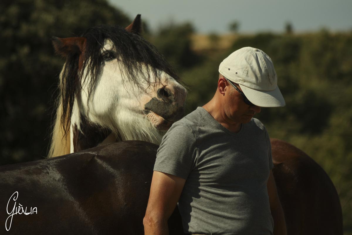 developpement personnel cheval13