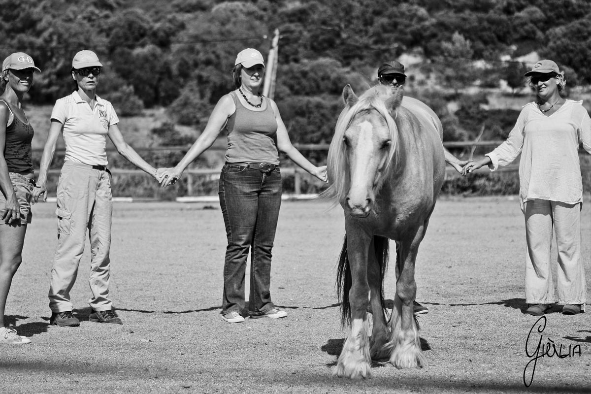 equi coaching gard herault12