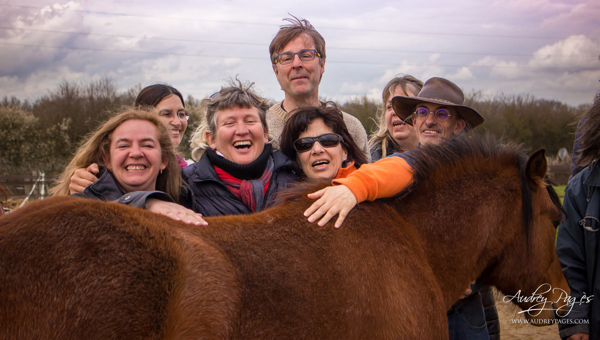 equi coaching gard herault2