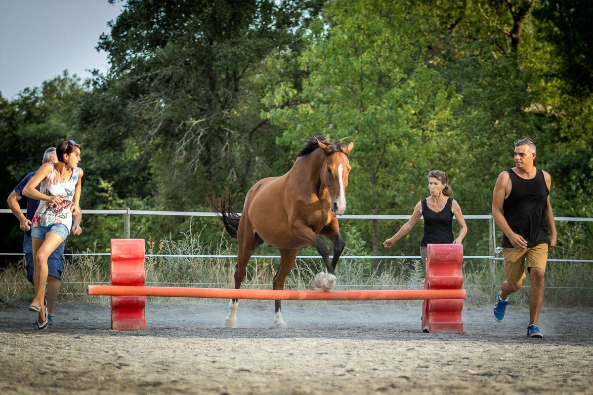 equi coaching gard herault6