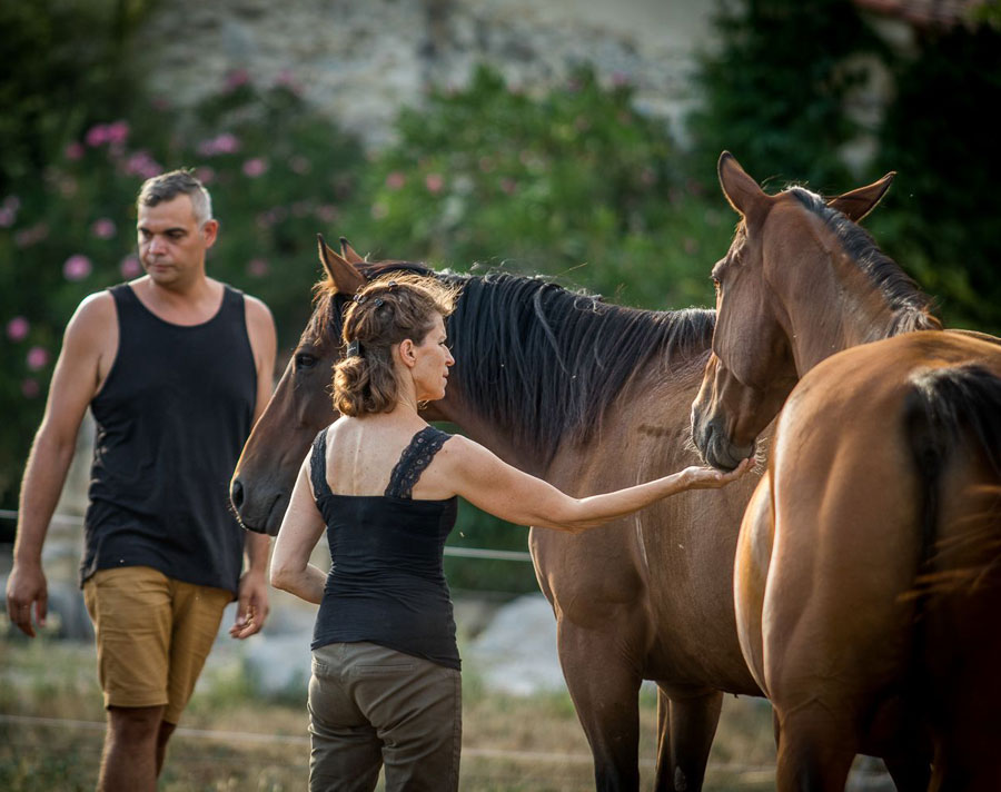 claire morin equitation relationnelle herault gard34