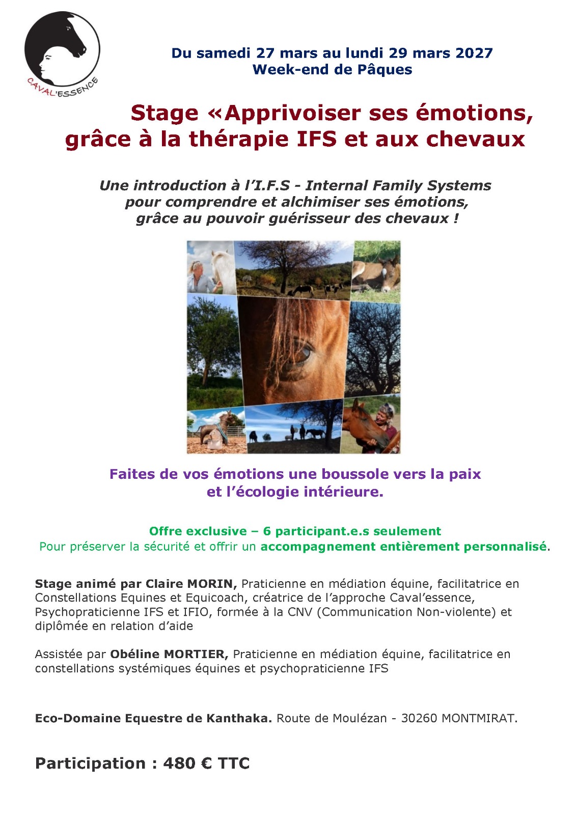 2027-IFS-chevaux-emotions1